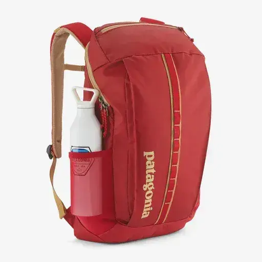 Patagonia Black Hole 25L